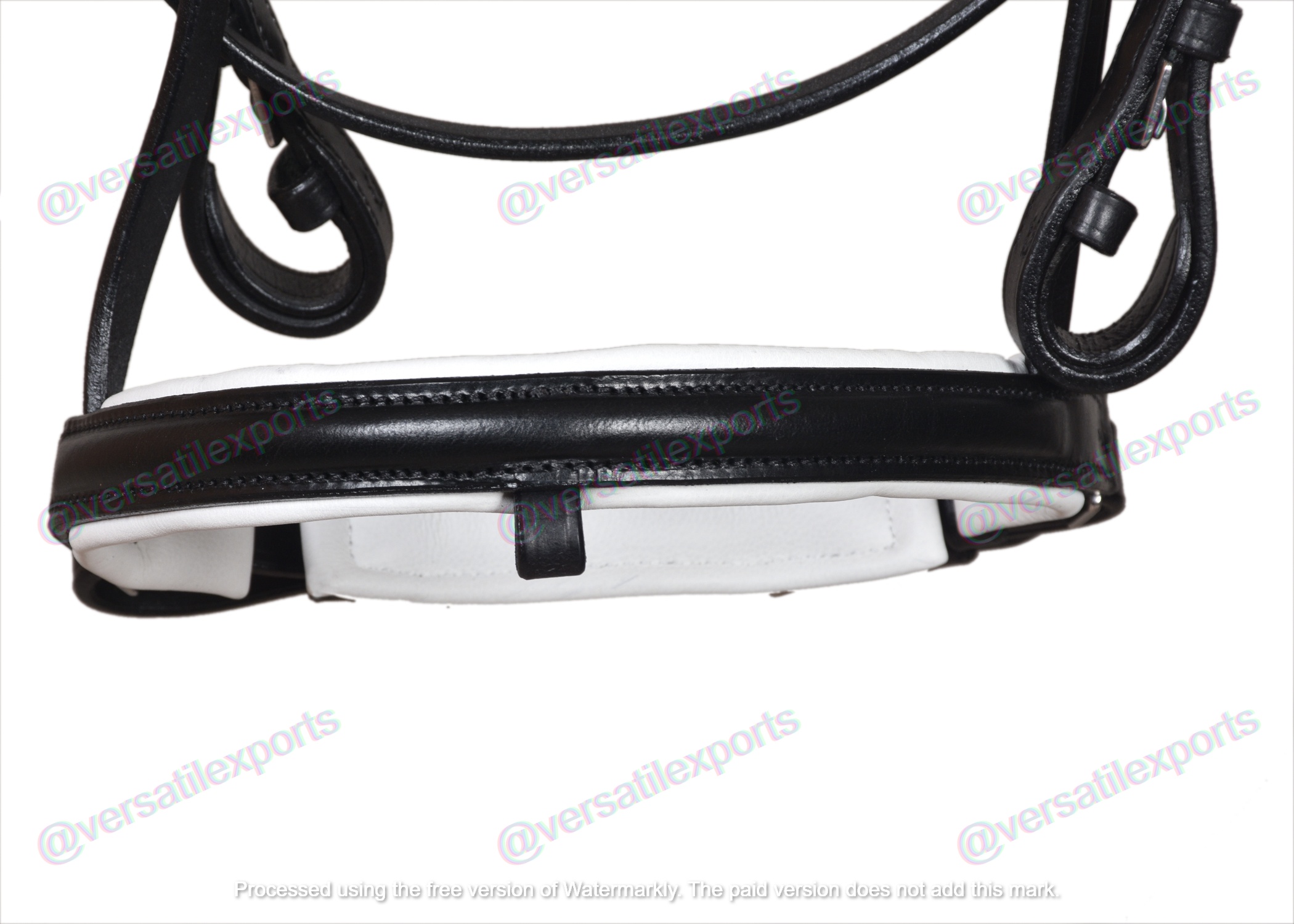 Bridle with White Padding